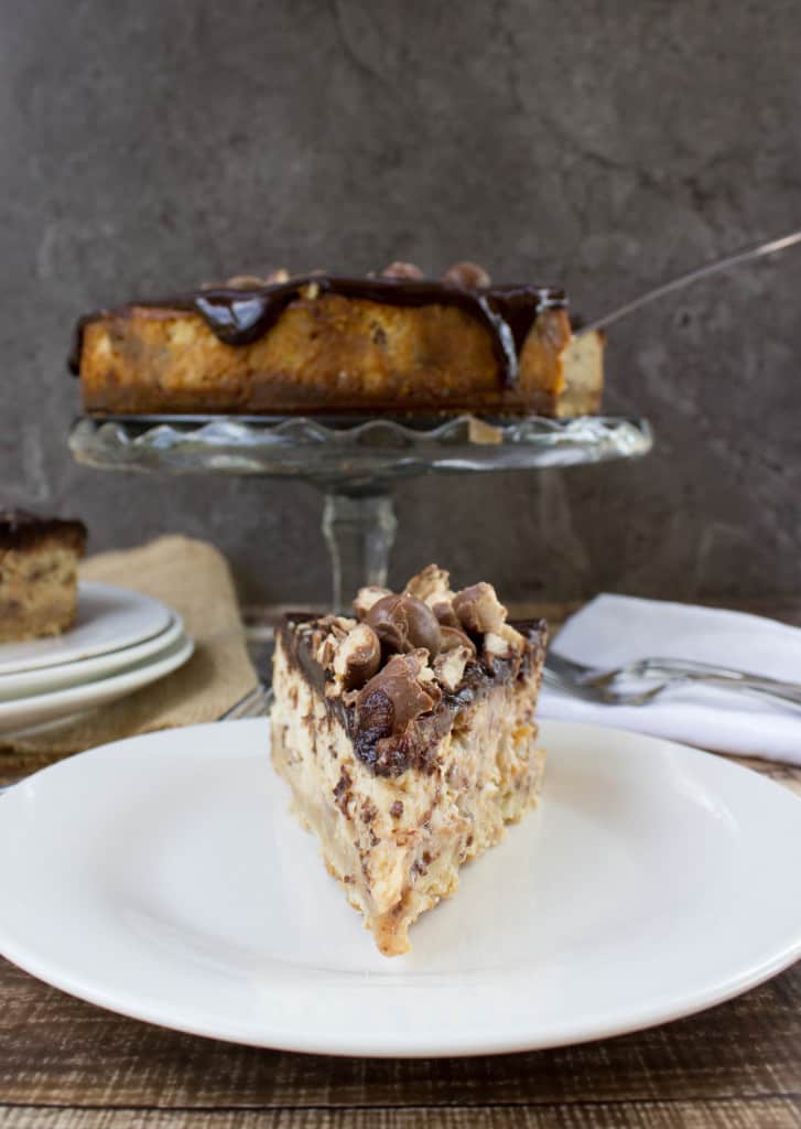 Malted Cheesecake slice on plate