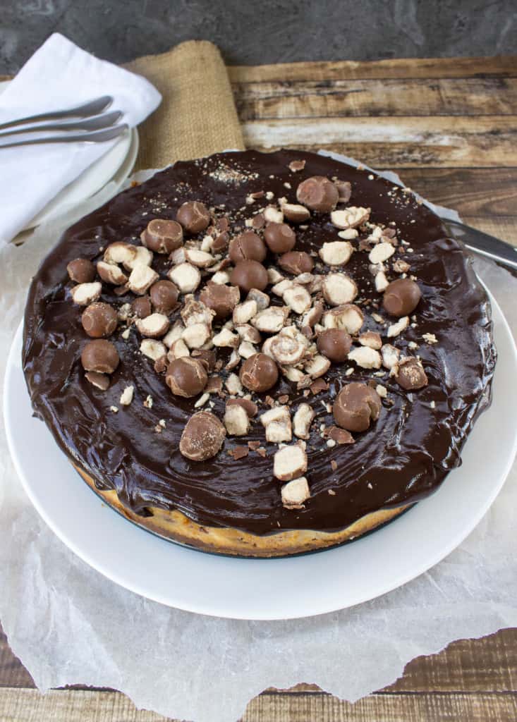 Malted Cheesecake covered with ganache