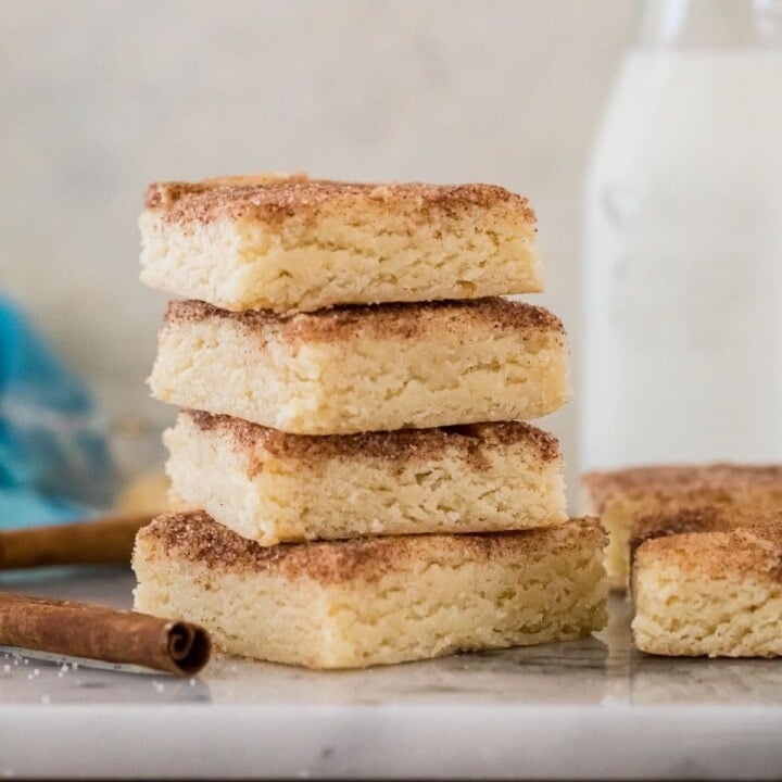 Snickerdoodle Blondies Sugar Spun Run
