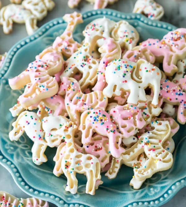 Frosted animal cookies on blue plate