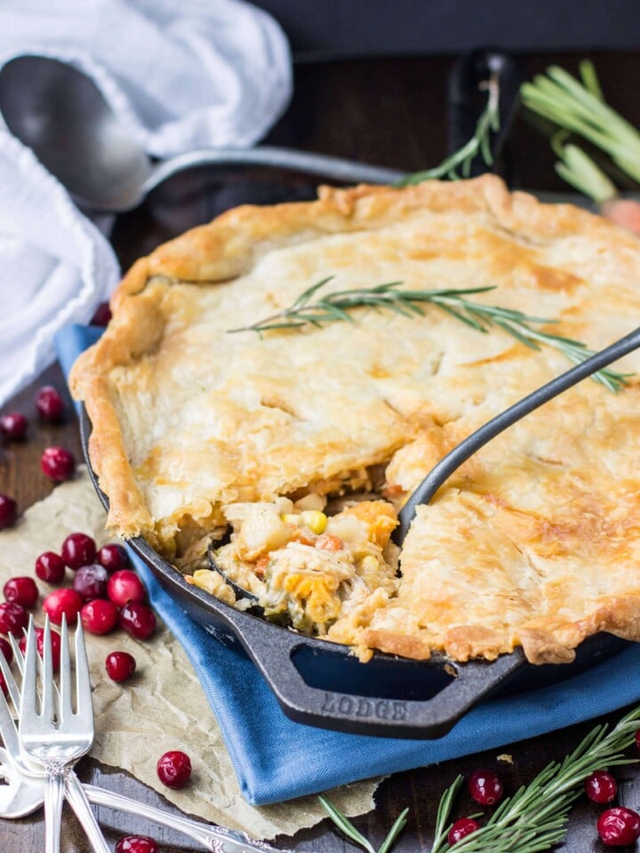 Savory Page 4 of 4 Sugar Spun Run