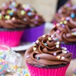 Chocolate cupcakes with chocolate frosting, topped with sprinkles