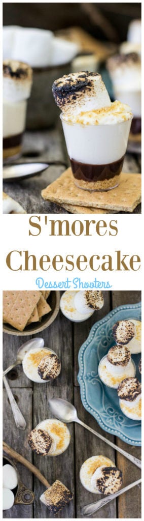 S\'mores Cheesecake Dessert Shooters