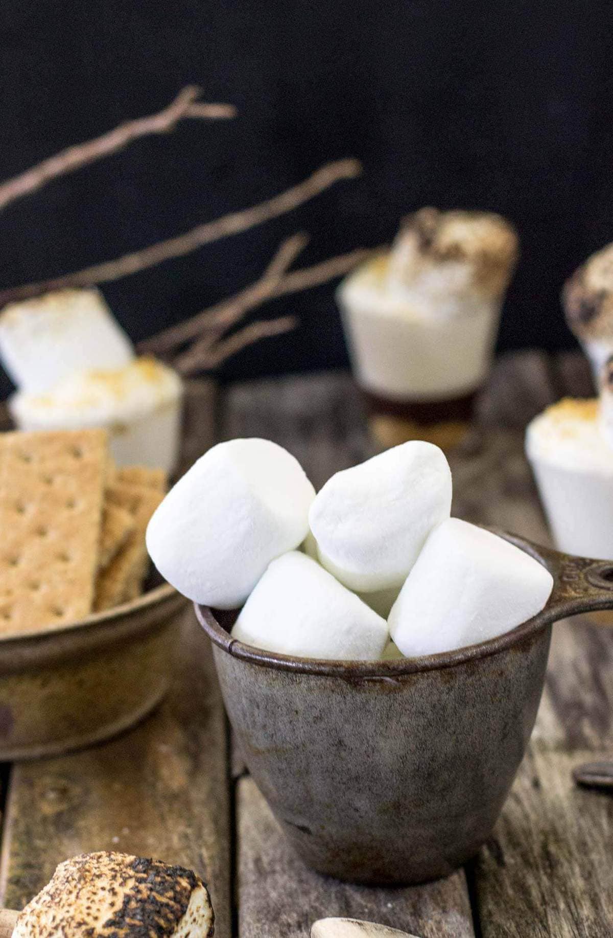 smores dessert shooters (1 of 1)-3