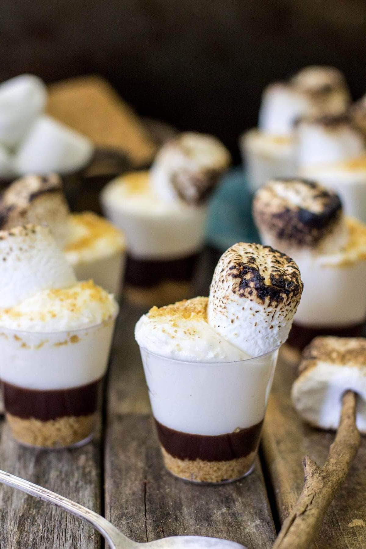 S'mores Cheesecake Dessert Shooters Sugar Spun Run