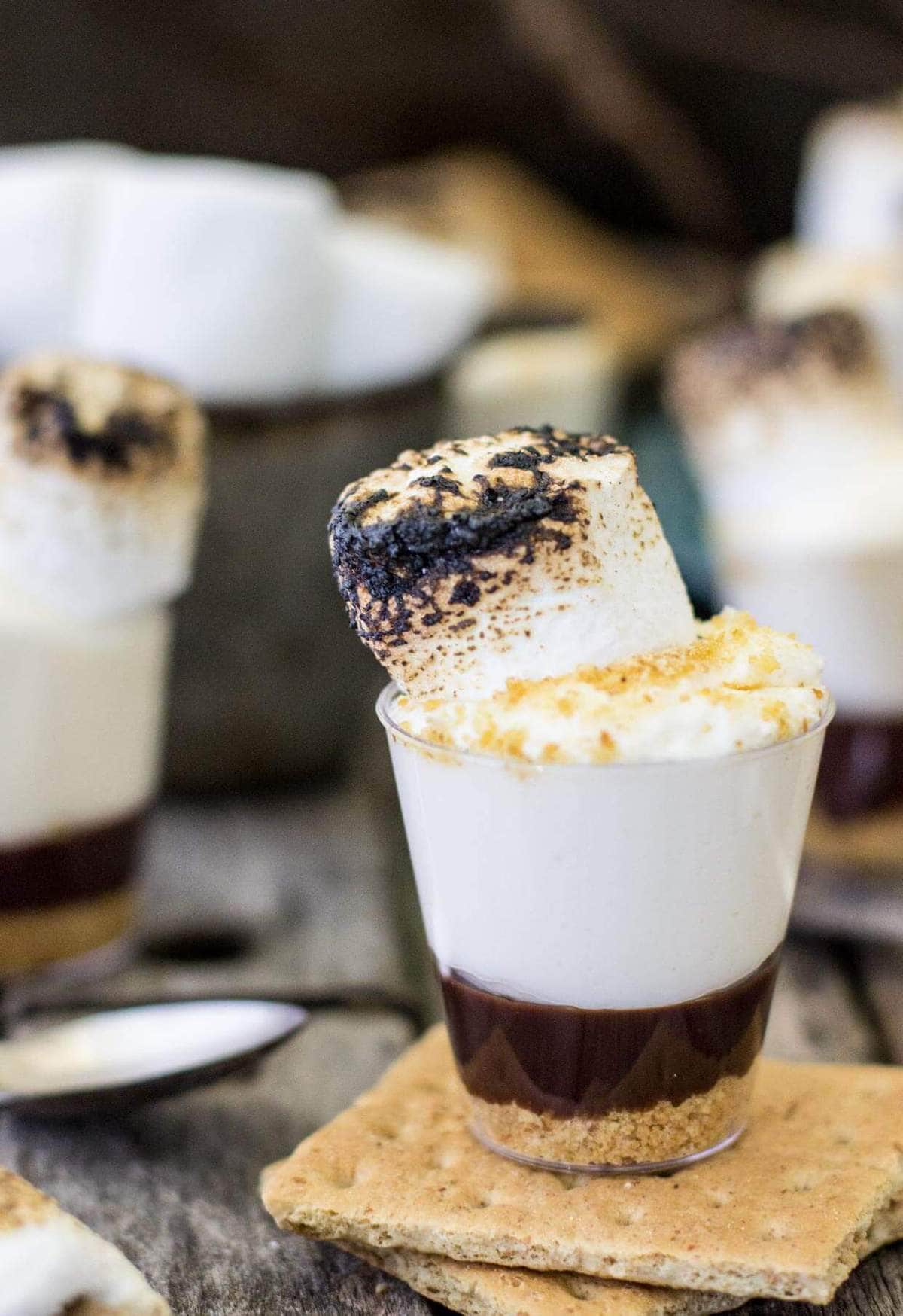 smores dessert shooters (1 of 1)-7