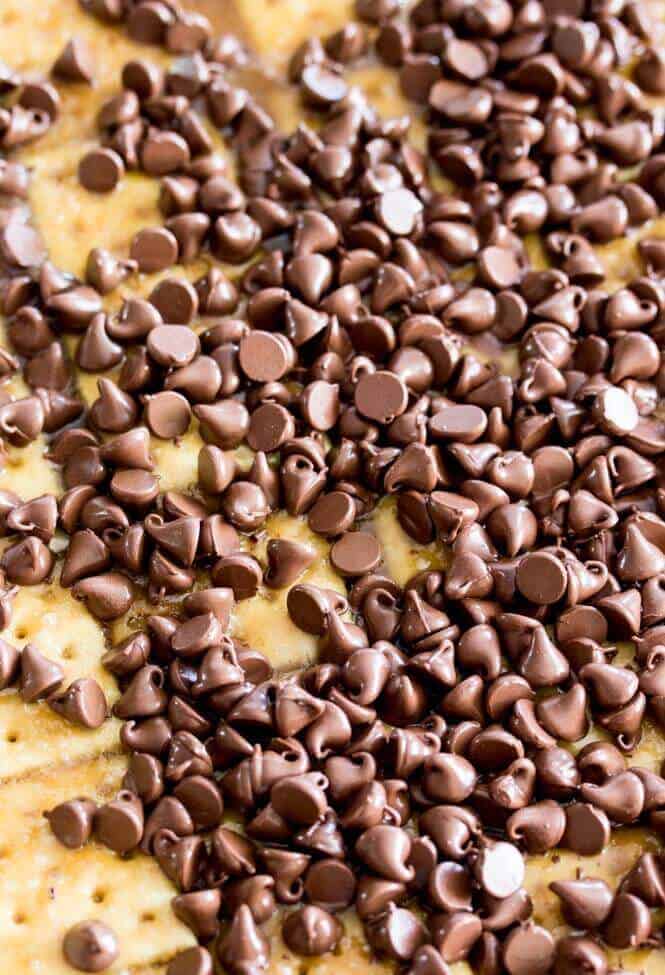 Chocolate chips melting on top of saltine cracker candy
