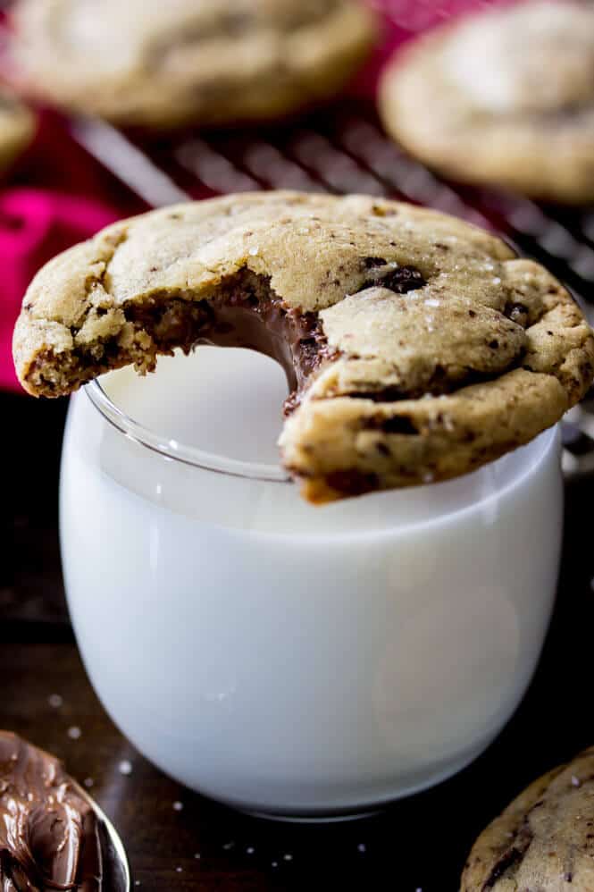 Chocolate Sugar Cookies - Sugar Spun Run