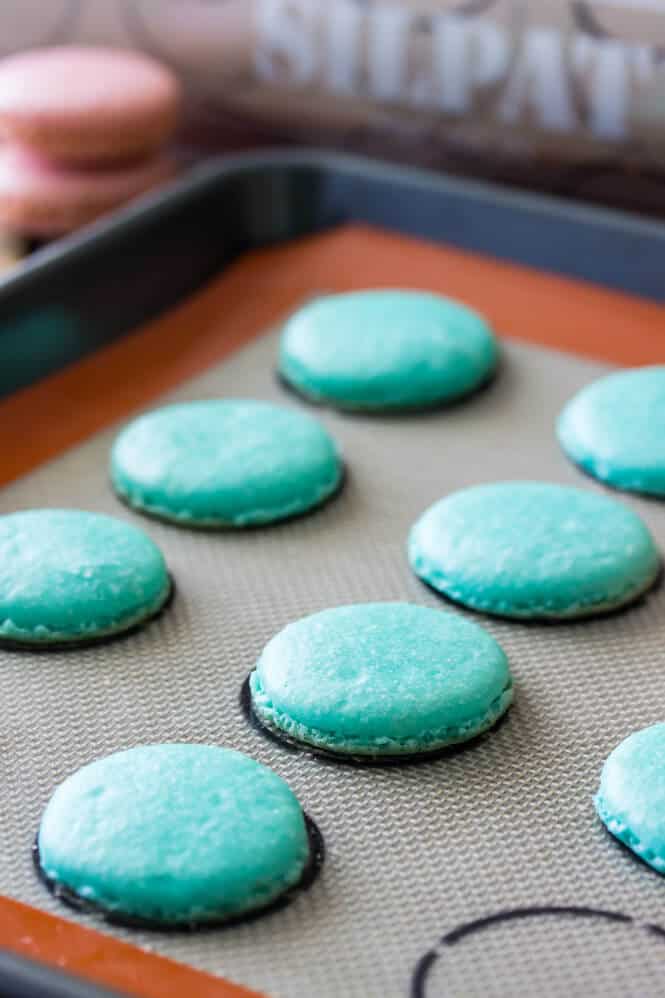 macarons