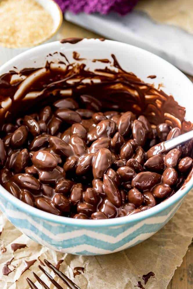 dark chocolate covered almonds