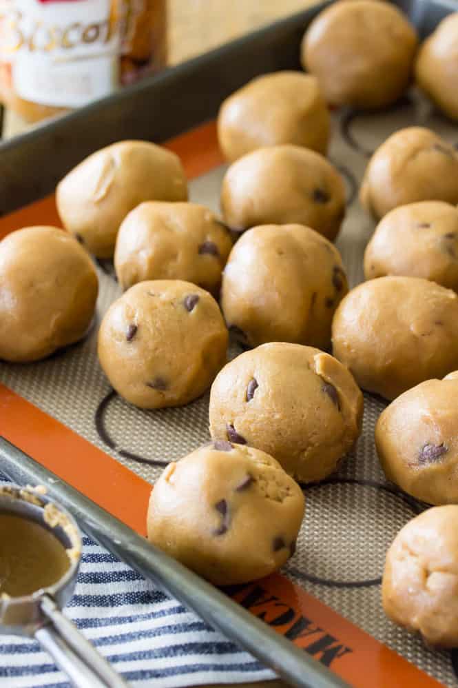 Cookie butter chocolate chip cookie dough rolled into balls, on baking sheet