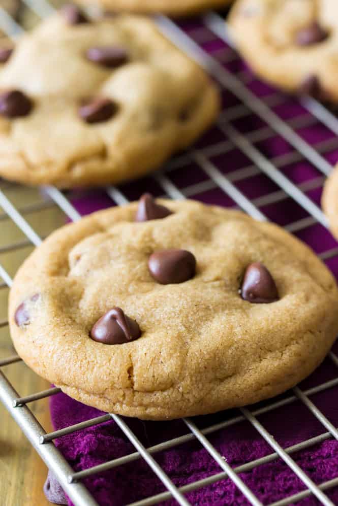 close up of cookie butter cookie