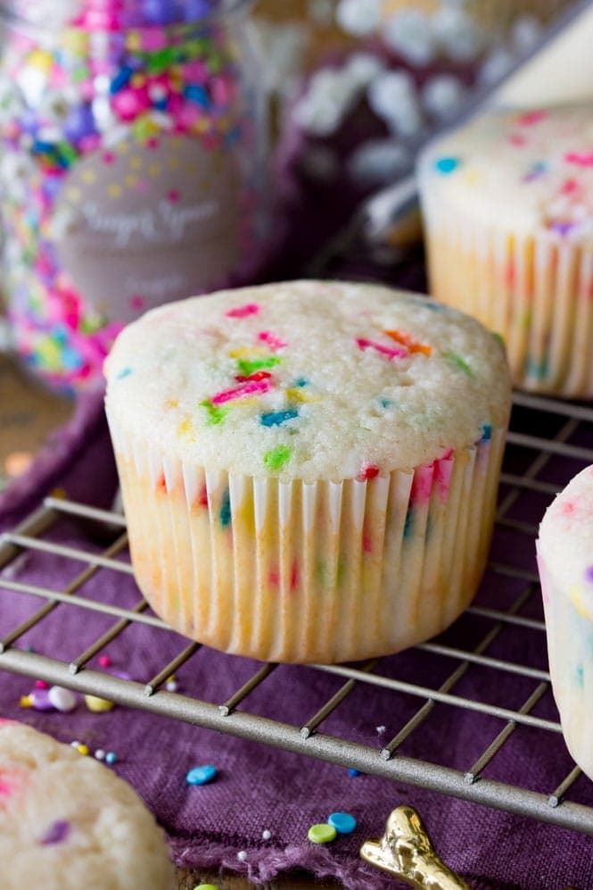 Freshly bake confetti cupcake