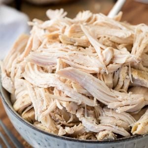 Shredded chicken in bowl