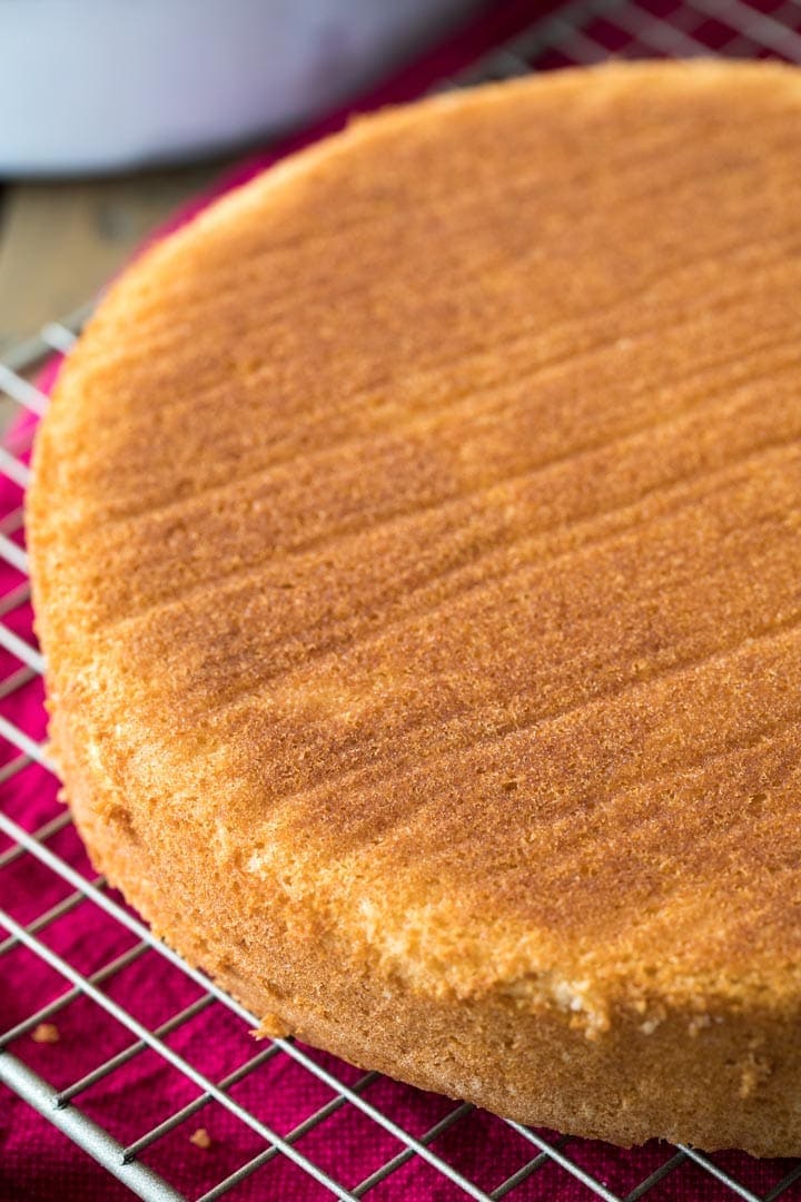 Round baked white cake layer