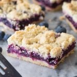 Blueberry crumb bars