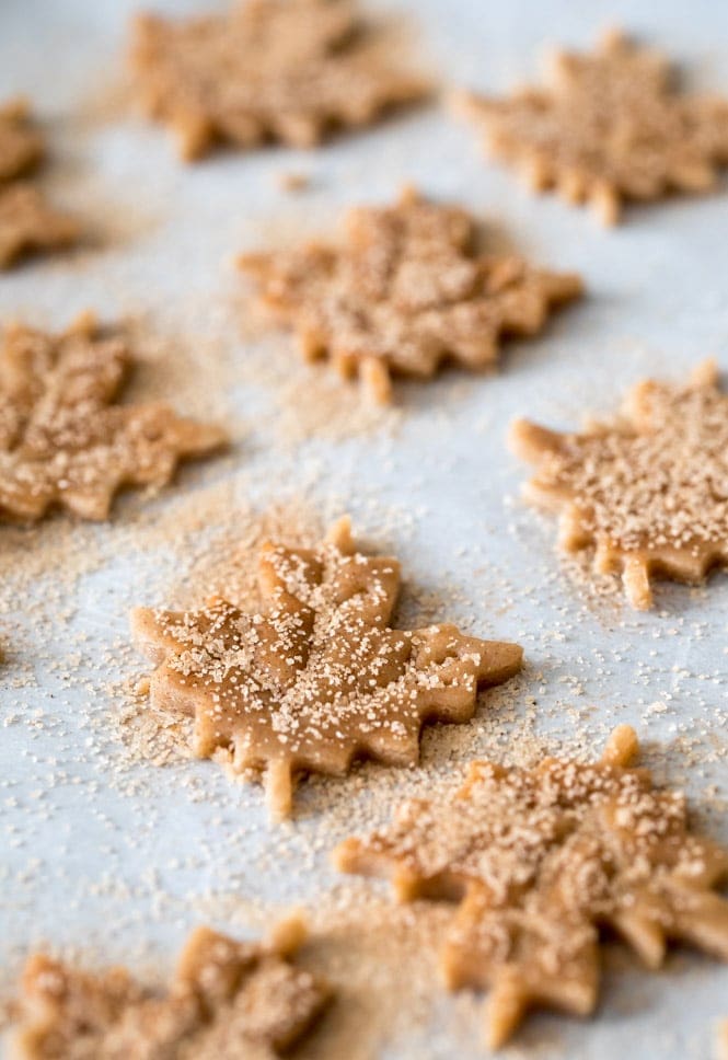 Maple leaf cookie dough on parchment paper waiting to bake