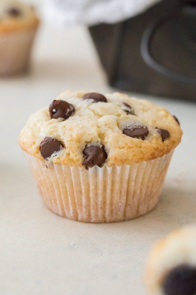 Chocolate chip muffin made with basic muffin recipe