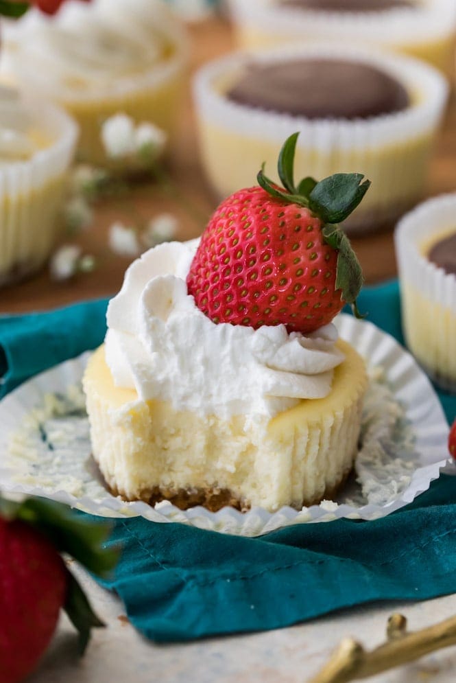 Mini cheesecake with a bite out of it (showing creamy center)
