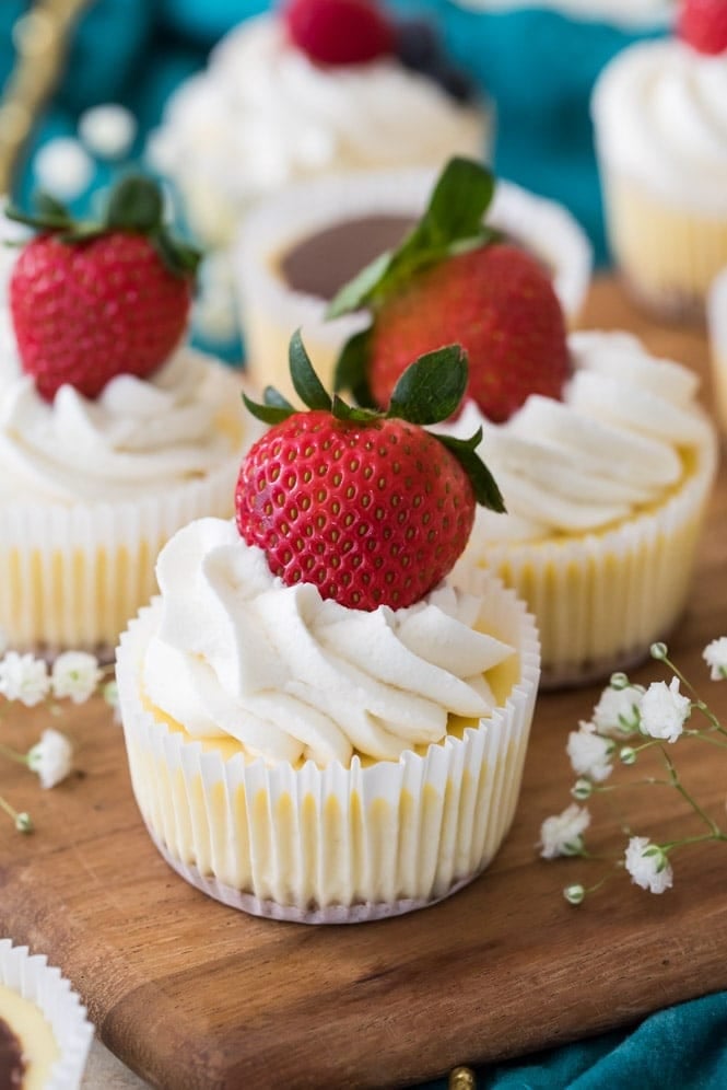 Mini Cheesecakes topped with whipped cream and fresh strawberrries