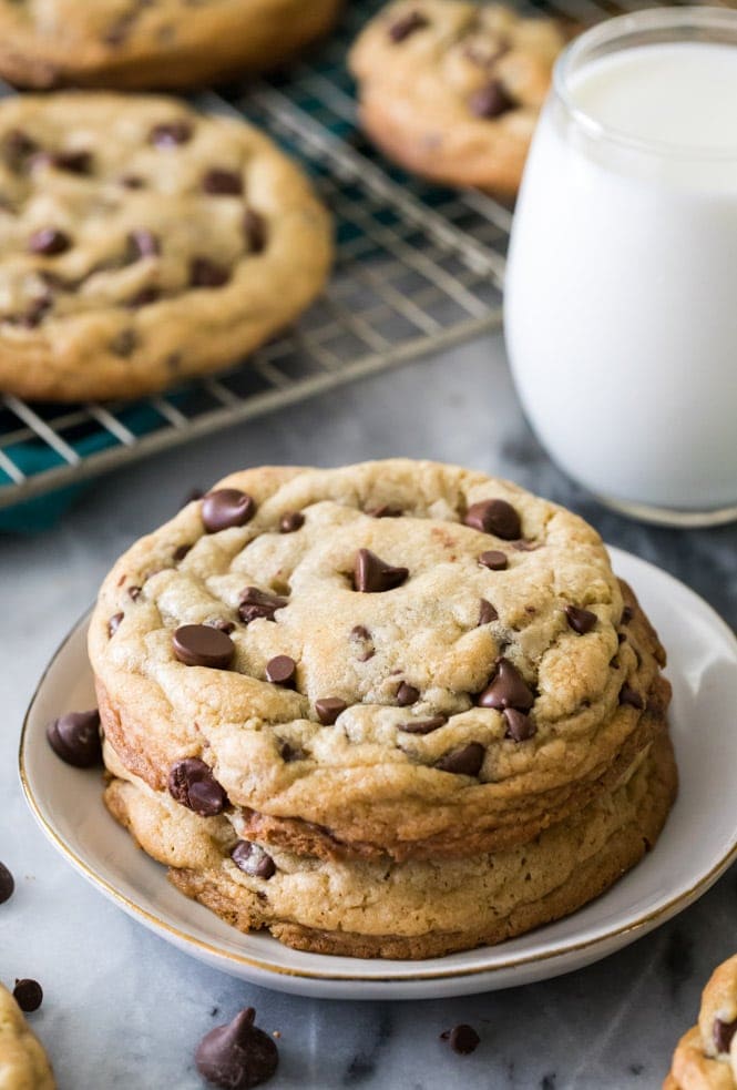 two giant chocolate chip cookies on a plate