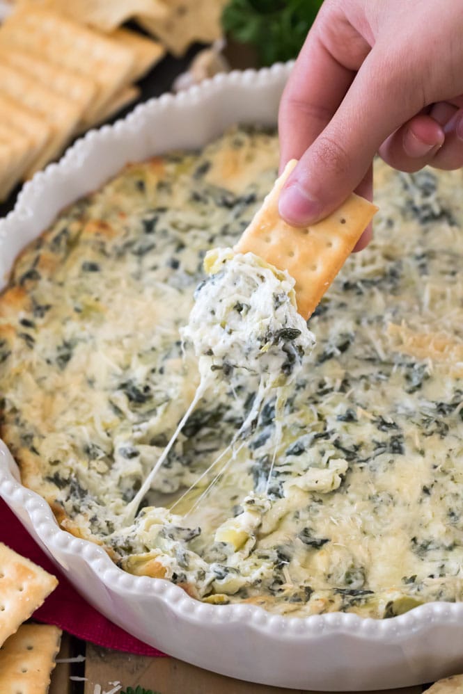 Using a cracker to scoop cheesy spinach artichoke dip out of a white dish