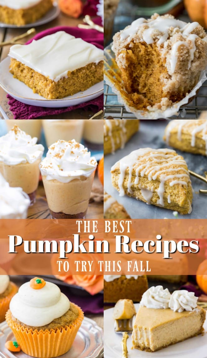 Collage of the best pumpkin recipes for Fall