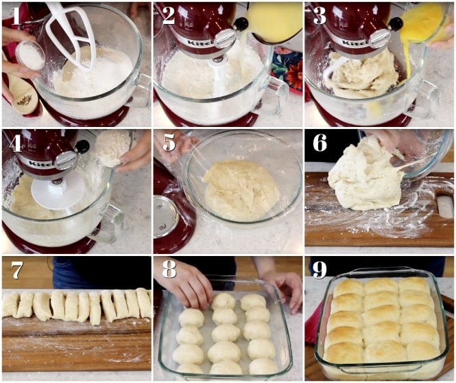 Step-by-step how to make dinner rolls