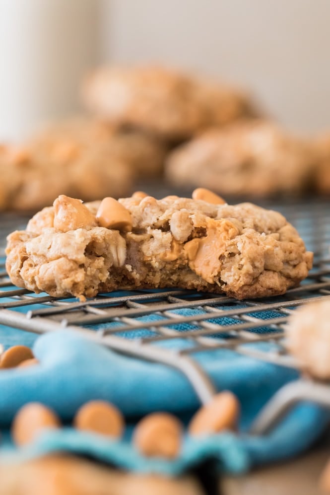 Oatmeal scotchie cookie on wire rack, showing chewy cookie interior