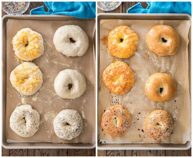 Bagels before and after baking in the oven