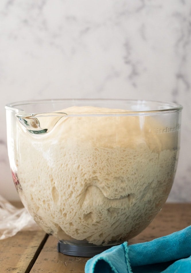 Proofed bagel dough in glass bowl