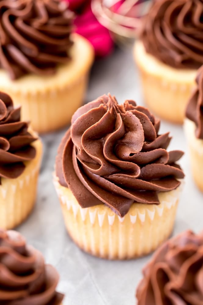 chocolate icing piped on vanilla cupcakes