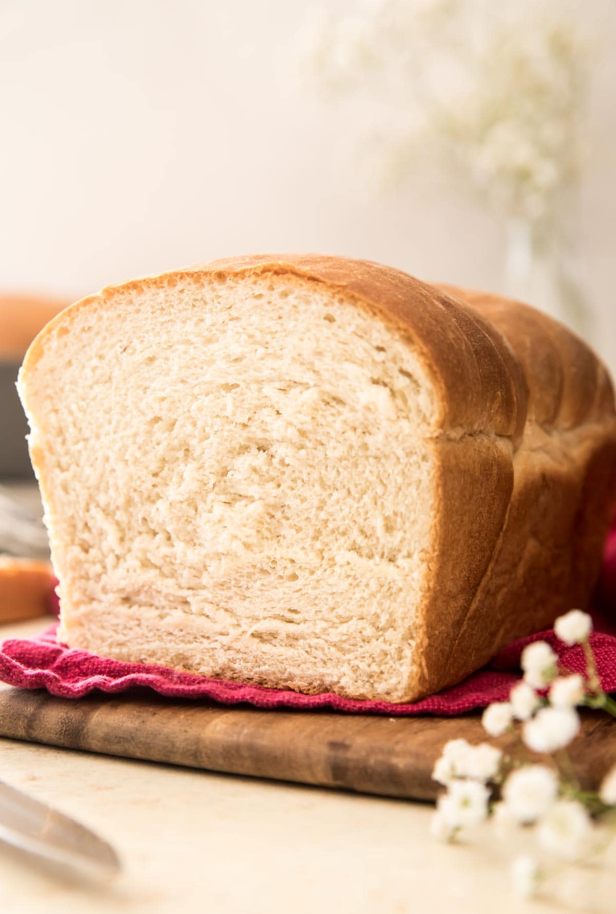 Basic White Bread Recipe for Bread Machines (Dairy-Free!)