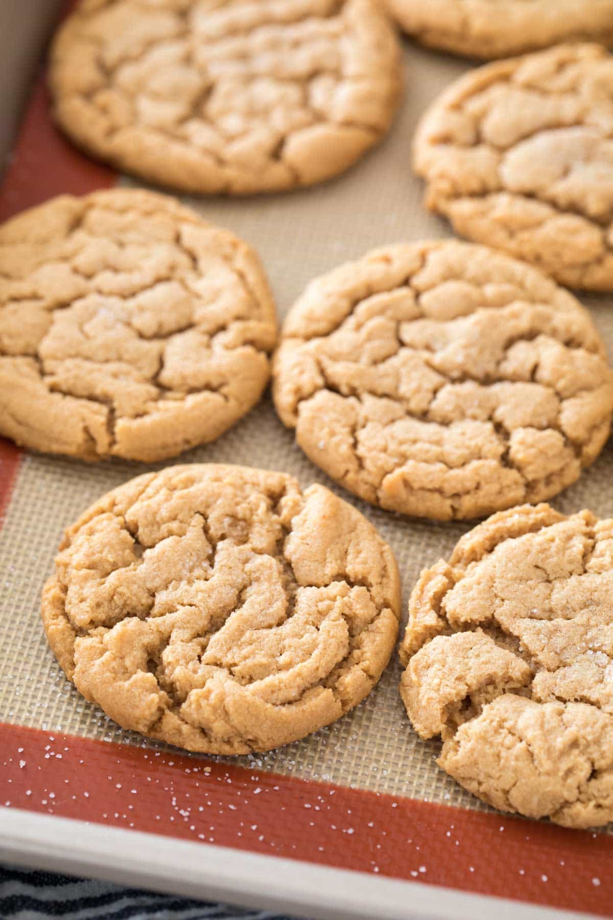 flourless peanut butter cookies on a silpat lined baking sheet