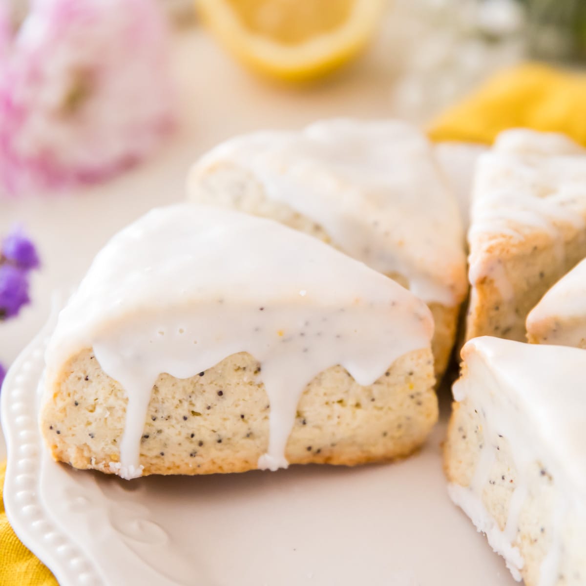 Lemon poppy seed scones, iced