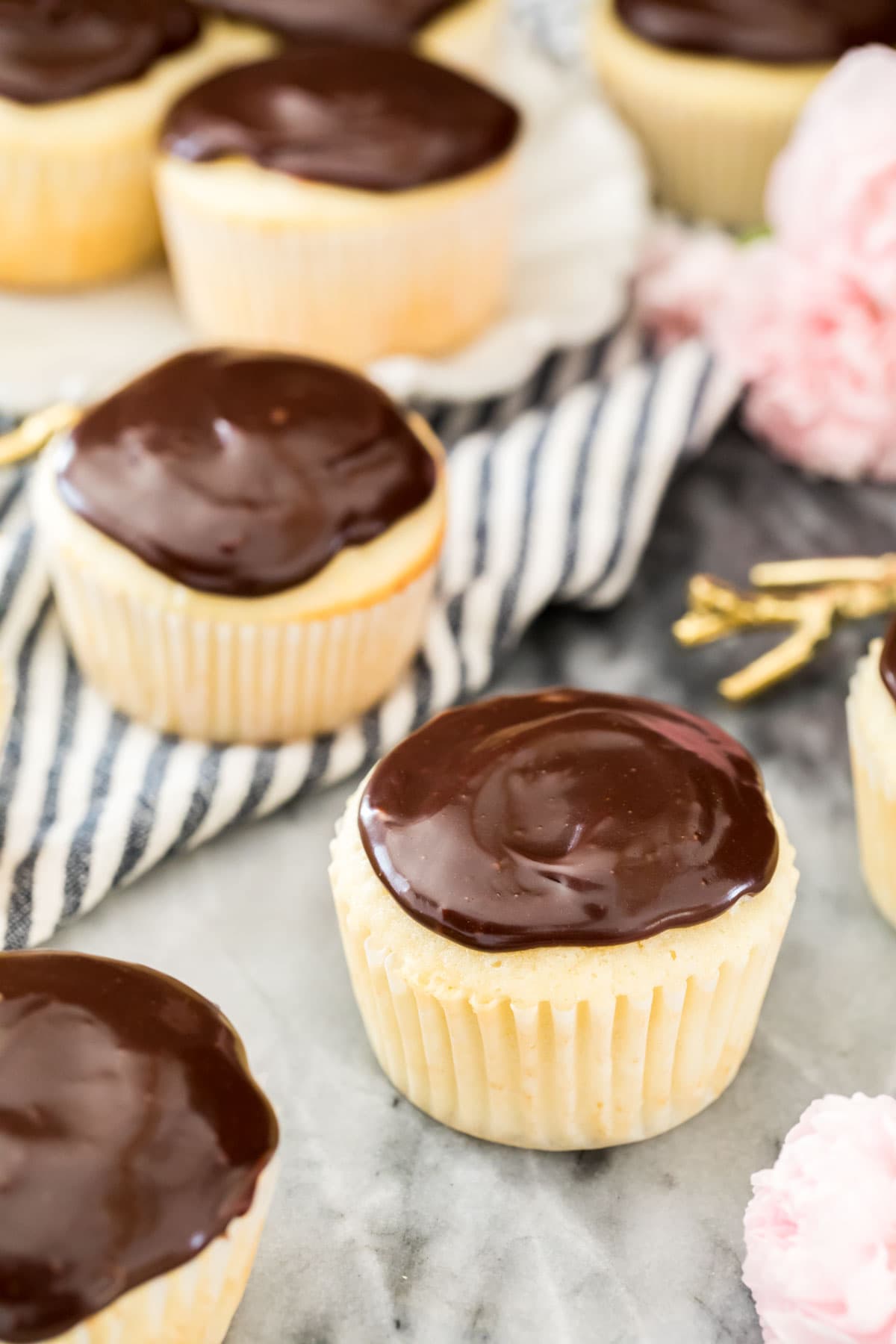 vanilla boston cream cupcake with chocolate ganache