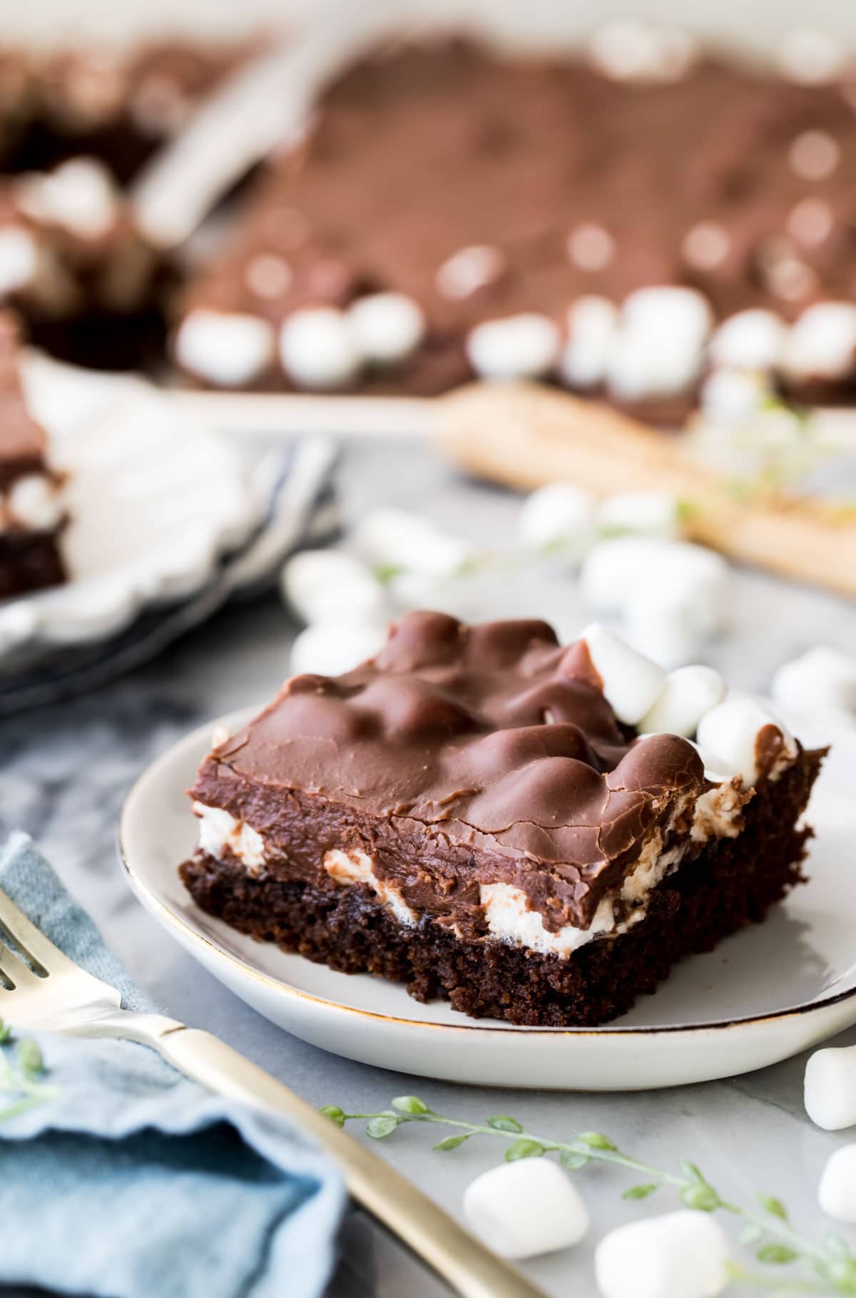 Mississippi mud cake on white plate