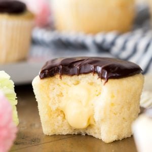 Boston cream cupcake with vanilla cream center