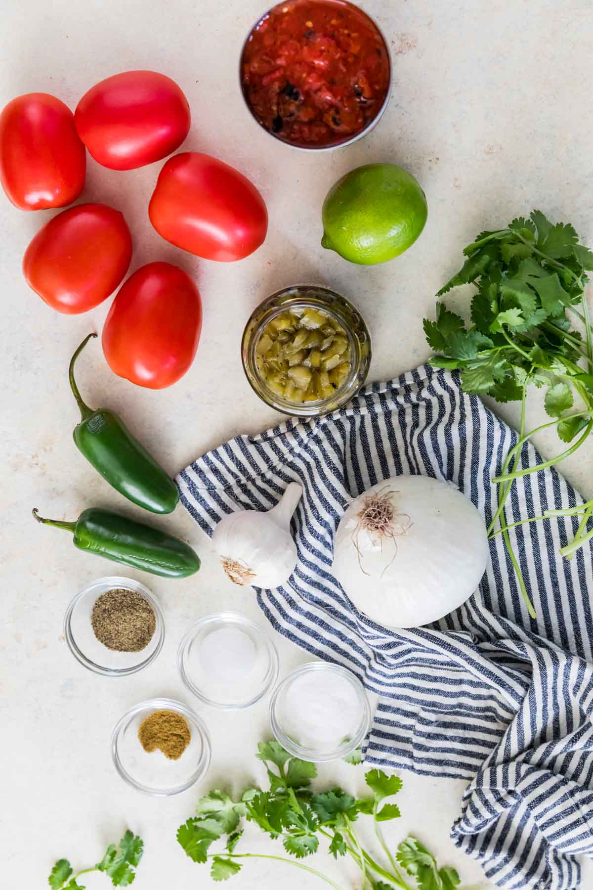 Ingredients for making fresh homemade salsa