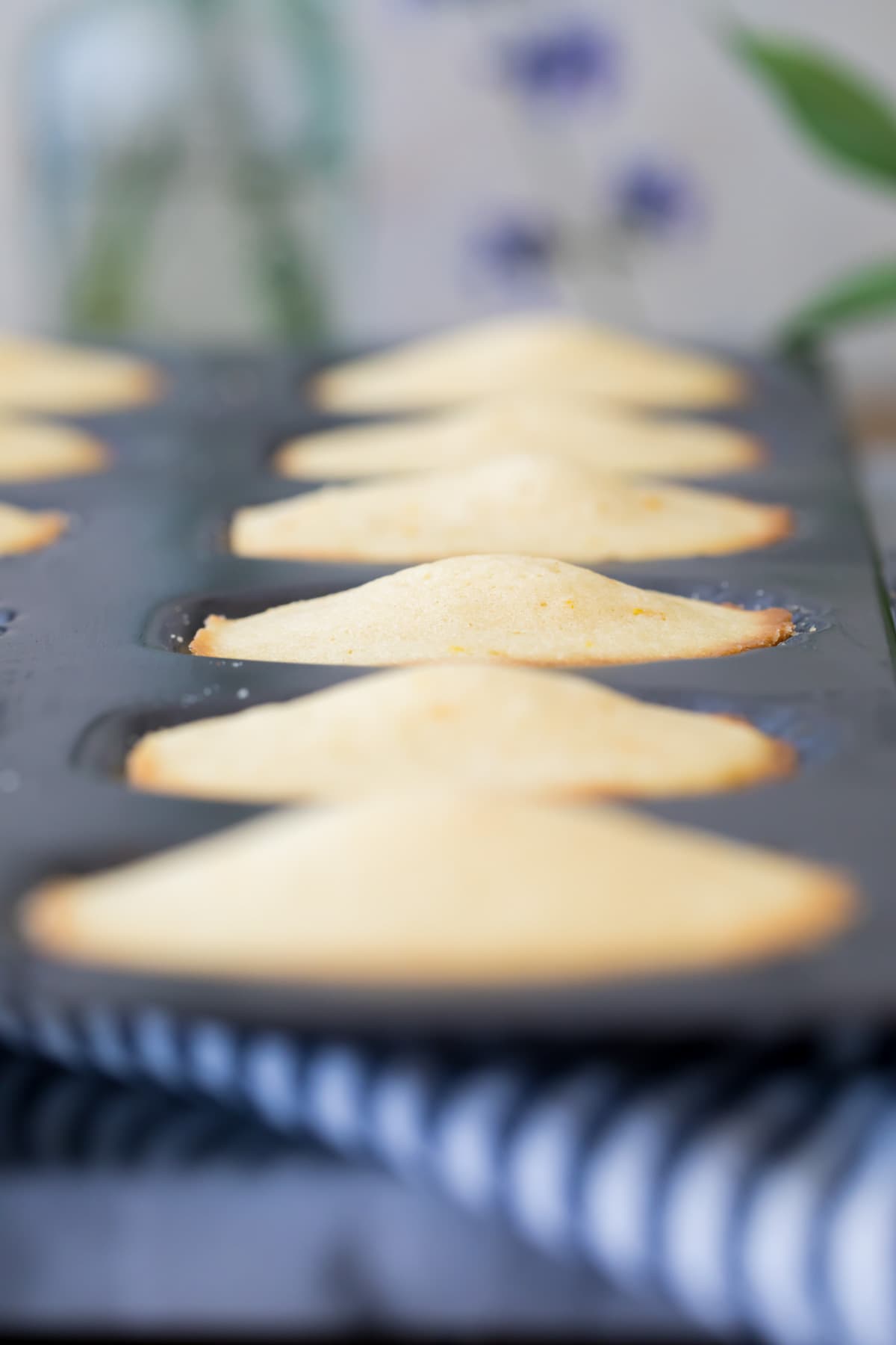 freshly baked madeleines in pan with humps