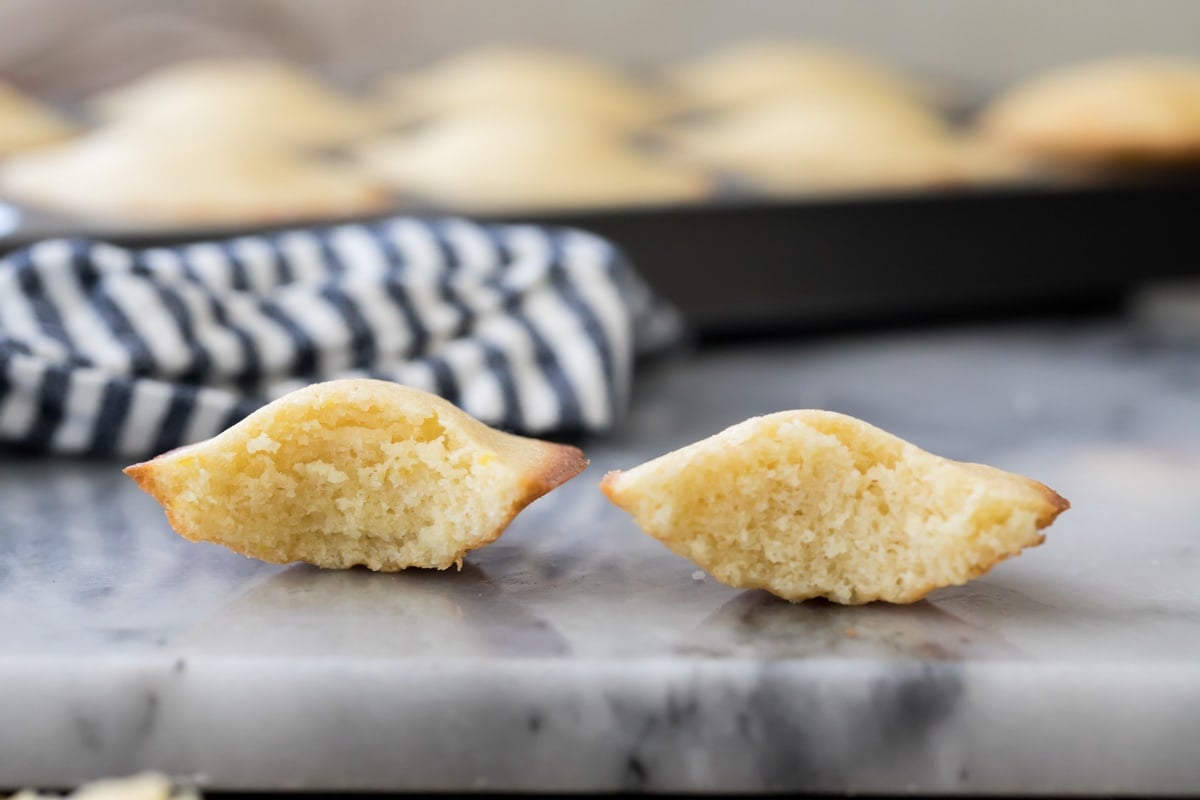 Two madeleines, both with rounded tops and finely crumbed centers