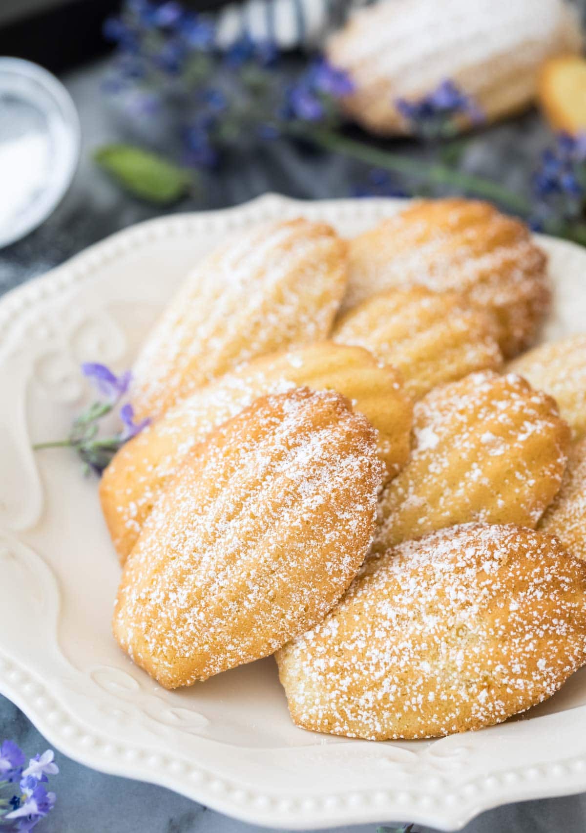 Madeleines dusted with powdered sugar on white plate