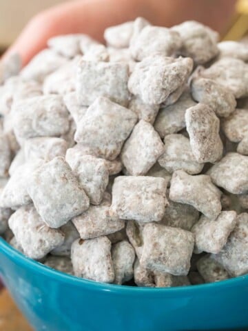 puppy chow in blue bowl