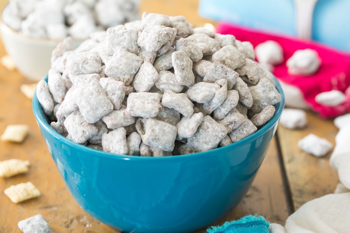 puppy chow in blue bowl