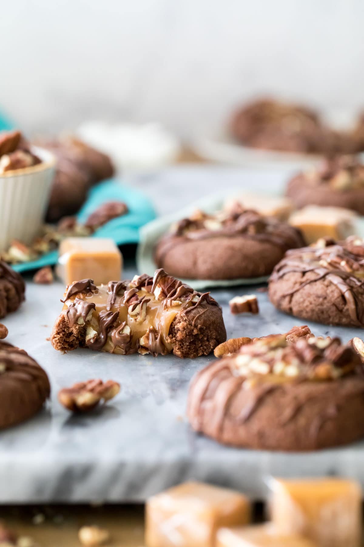 turtle cookie cut in half