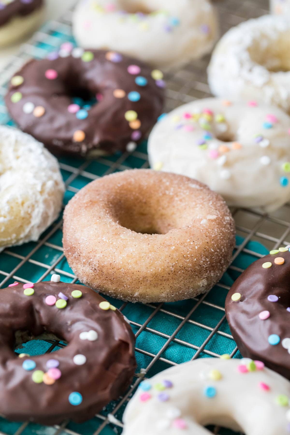 baked donuts with different toppings (chocolate frosting, cinnamon sugar, white frosting)