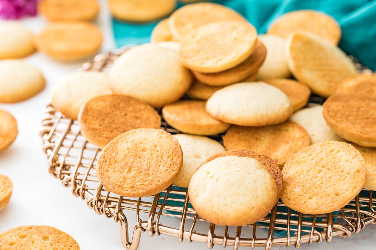 Closeup of wafers on a gold rack