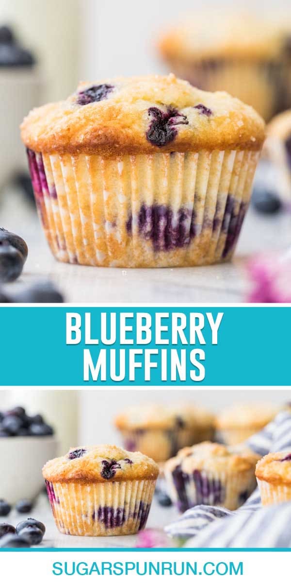 collage of blueberry muffins, top image of single muffin, bottom image of multiple muffins
