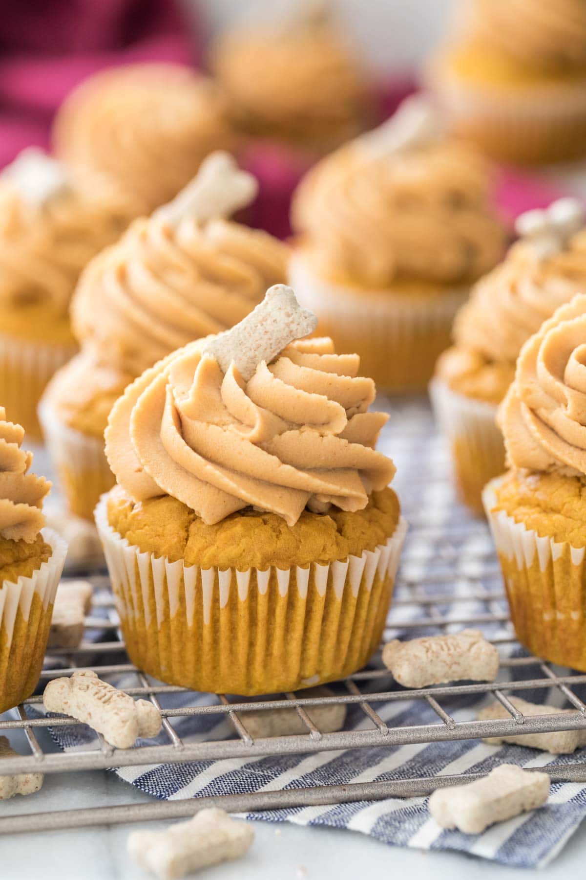 Close-up view of frosted pupcakes on cooling rack