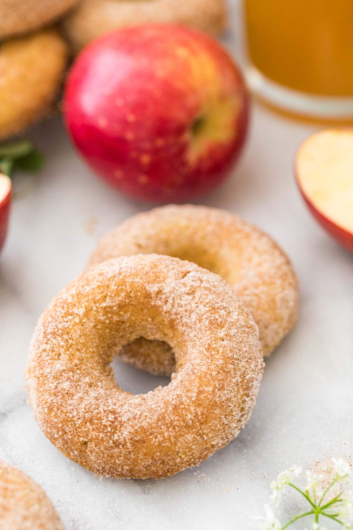 Two cinnamon sugar coated apple cider donuts on white marble countertop